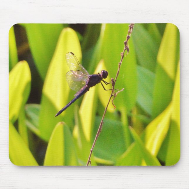 Dragonfly Blue and black on grass. Mouse Pad (Front)