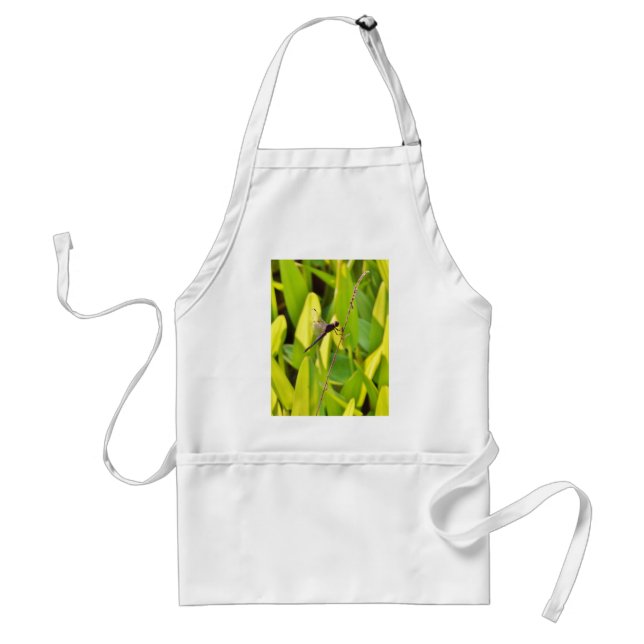 Dragonfly Blue and black on grass. Standard Apron (Front)
