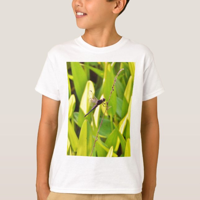 Dragonfly Blue and black on grass. T-Shirt (Front)