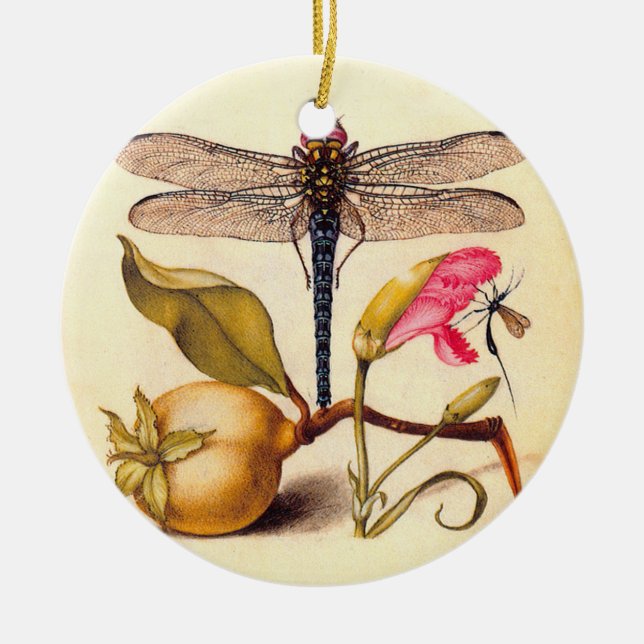 Dragonfly Botanical Nature Wildlife Ceramic Tree Decoration (Front)
