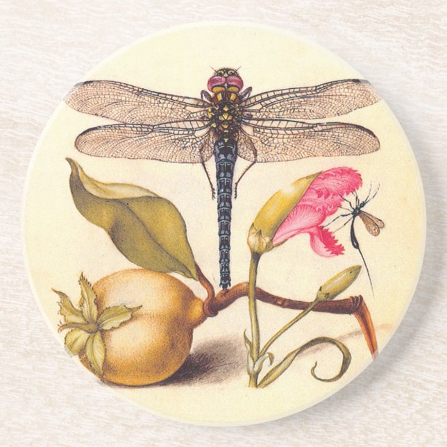 Dragonfly Botanical Nature Wildlife Coaster (Front)