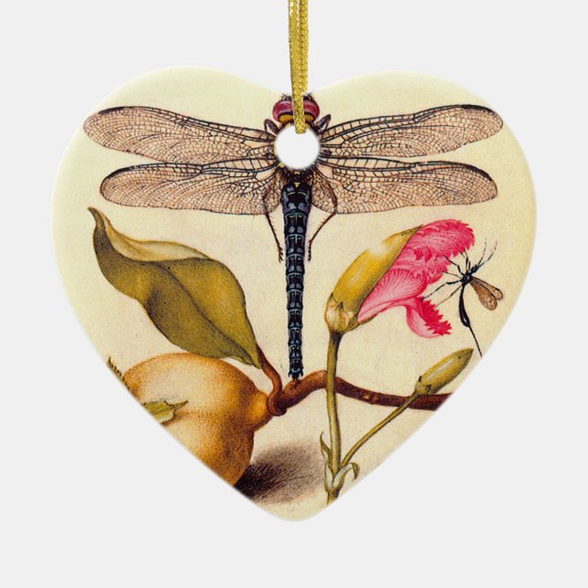 Dragonfly Botanical Nature Wildlife Hoefnagel Art Ceramic Ornament (Front)