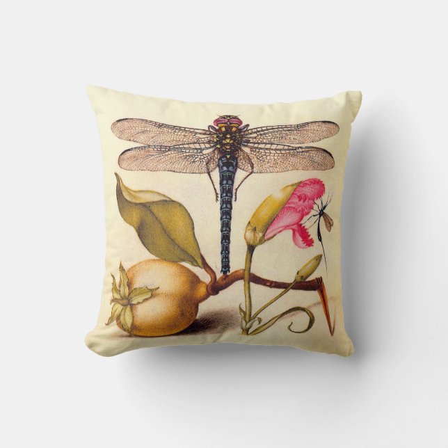 Dragonfly Botanical Nature Wildlife Hoefnagel Art Cushion (Front)