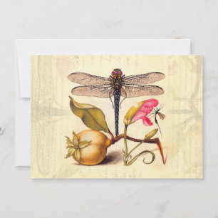 Dragonfly Botanical Nature Wildlife Hoefnagel Art Invitation