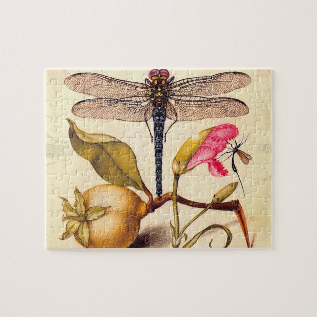 Dragonfly Botanical Nature Wildlife Hoefnagel Art Jigsaw Puzzle (Horizontal)