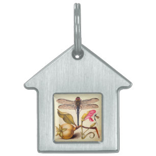 Dragonfly Botanical Nature Wildlife Hoefnagel Art Pet ID Tag