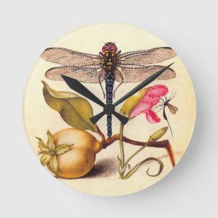 Dragonfly Botanical Nature Wildlife Hoefnagel Art Round Clock