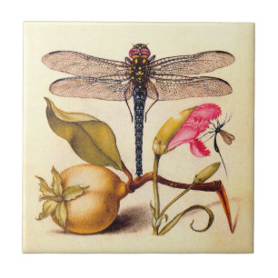 Dragonfly Botanical Nature Wildlife Hoefnagel Art Tile