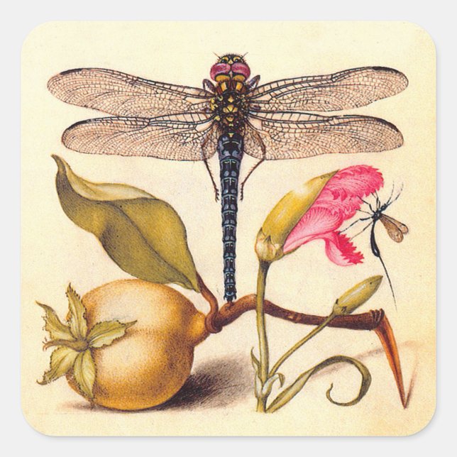 Dragonfly Botanical Nature Wildlife Square Sticker (Front)