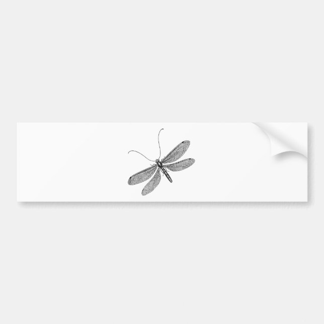 Dragonfly Bumper Sticker (Front)