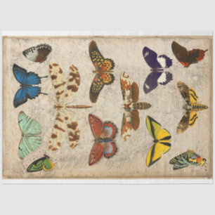 Dragonfly Butterfly moth decoupage Tissue Paper