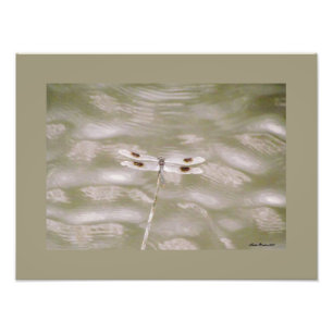 Dragonfly by Linda Becker Photo Print