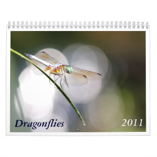 Dragonfly Calendar 2011