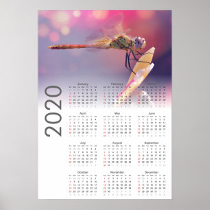 Dragonfly Calendar 2020 Poster