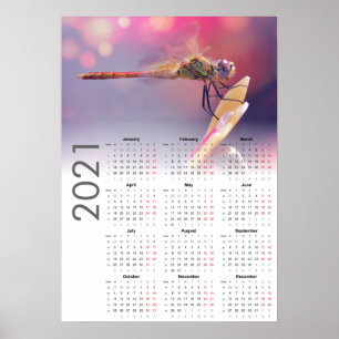 Dragonfly Calendar 2021 Poster - Monday start