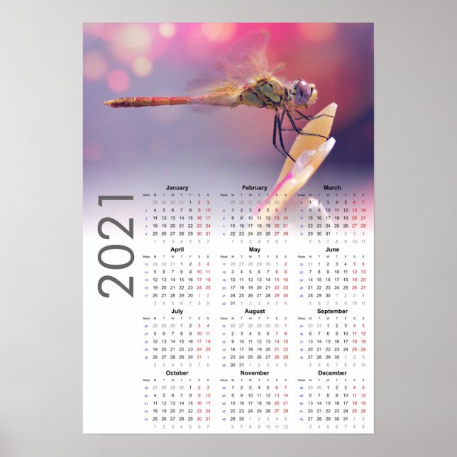 Dragonfly Calendar 2021 Poster - Monday start (Front)