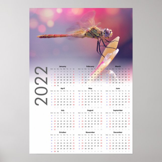 Dragonfly Calendar 2022 Poster - Sunday start (Front)