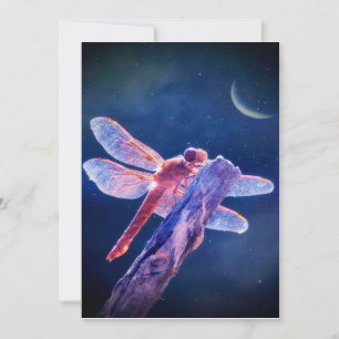 Dragonfly Canvas, women's soft, cute boho Canvas