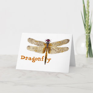 Dragonfly Card