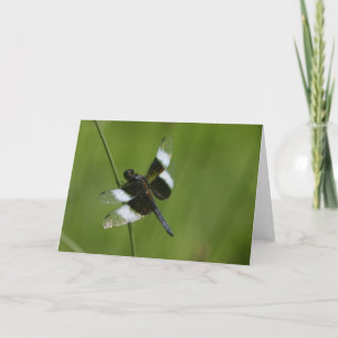 Dragonfly Card