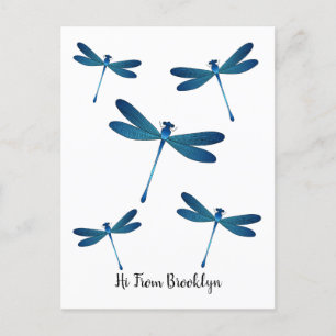 Dragonfly cartoon illustration postcard