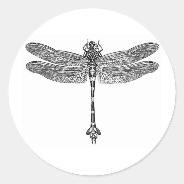 Dragonfly Classic Round Sticker (Front)