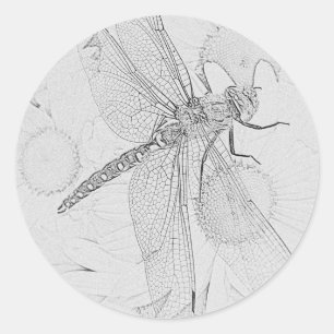 Dragonfly Classic Round Sticker