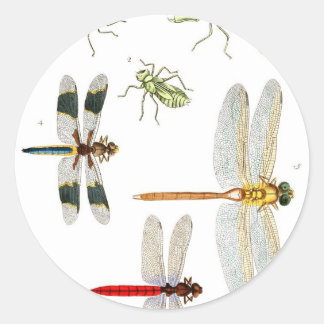 dragonfly-clip-art-4 classic round sticker