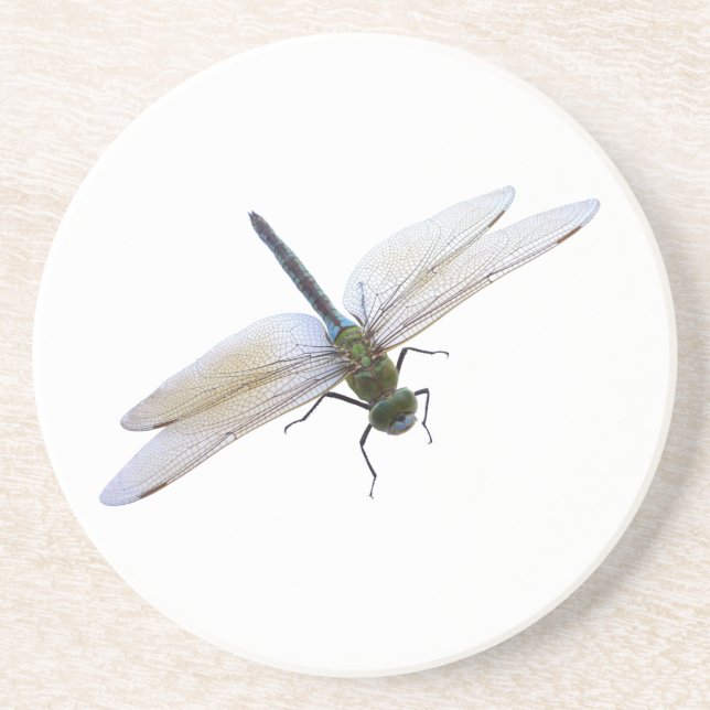 Dragonfly Coaster (Front)