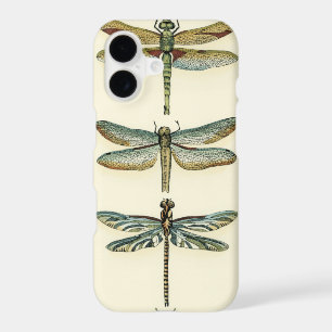 Dragonfly Collection by Chariklia Zarris