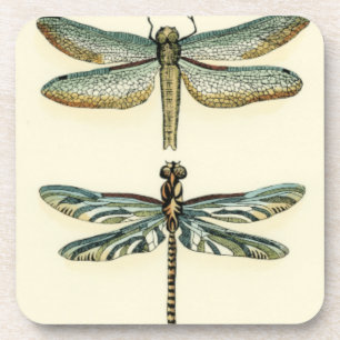 Dragonfly Collection by Chariklia Zarris Coaster