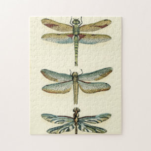 Dragonfly Collection by Chariklia Zarris Jigsaw Puzzle