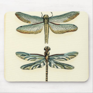 Dragonfly Collection by Chariklia Zarris Mouse Pad
