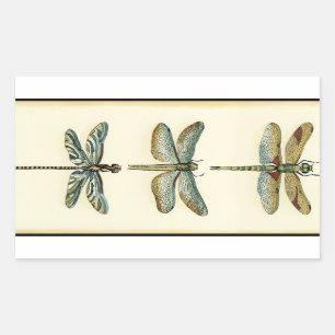 Dragonfly Collection by Chariklia Zarris Rectangular Sticker