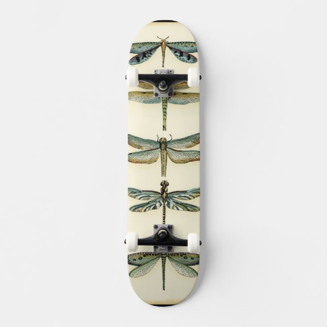 Dragonfly Collection by Chariklia Zarris Skateboard (Front)
