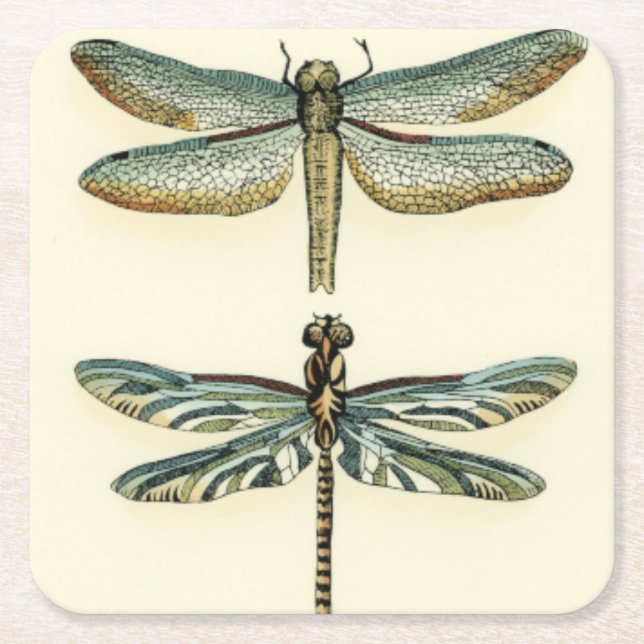 Dragonfly Collection by Chariklia Zarris Square Paper Coaster (Front)
