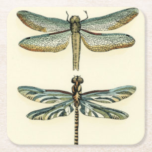 Dragonfly Collection by Chariklia Zarris Square Paper Coaster