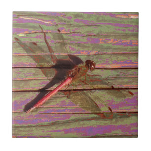 Dragonfly Colorful Ceramic Tile