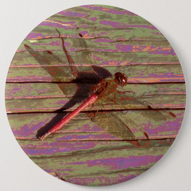 Dragonfly Colourful 6 Cm Round Badge (Front)