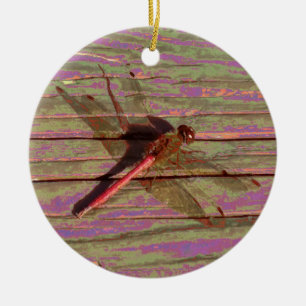 Dragonfly Colourful Ceramic Ornament