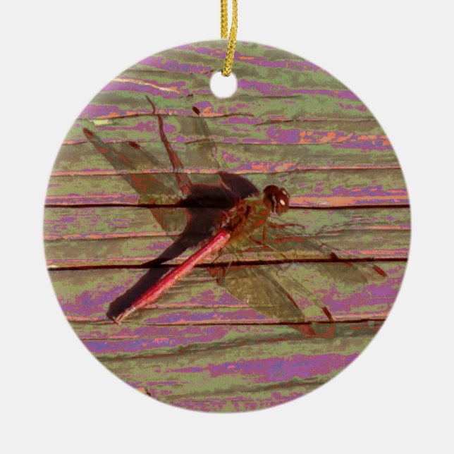 Dragonfly Colourful Ceramic Ornament (Front)