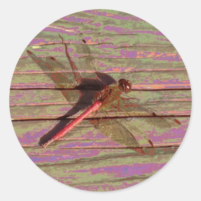 Dragonfly Colourful Classic Round Sticker (Front)