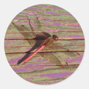 Dragonfly Colourful Classic Round Sticker