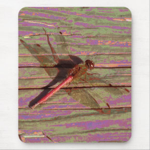 Dragonfly Colourful Mouse Pad