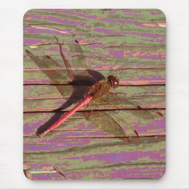 Dragonfly Colourful Mouse Pad (Front)