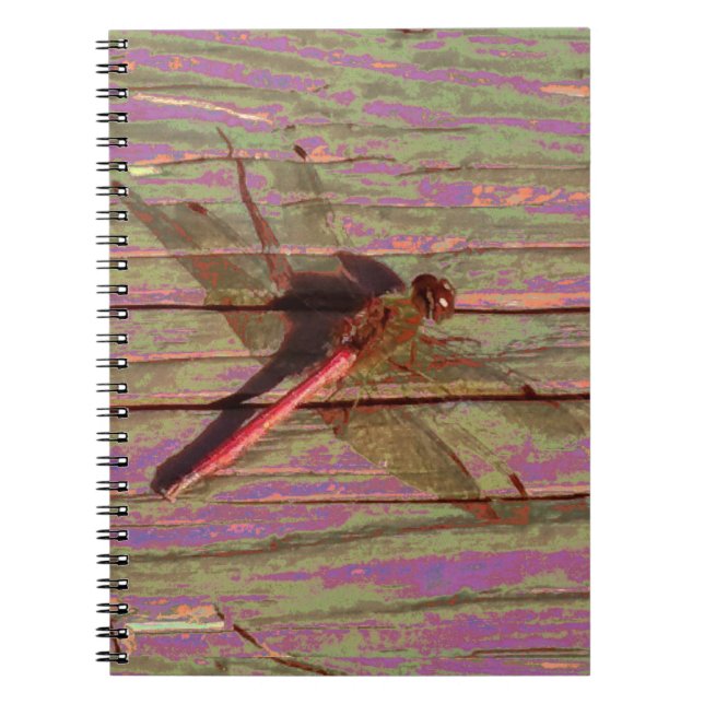 Dragonfly Colourful Notebook (Front)