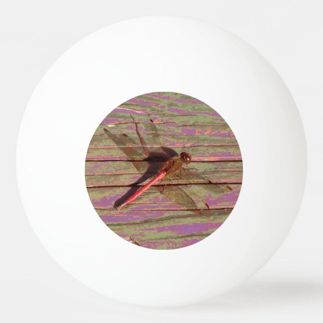 Dragonfly Colourful Ping Pong Ball (Front)
