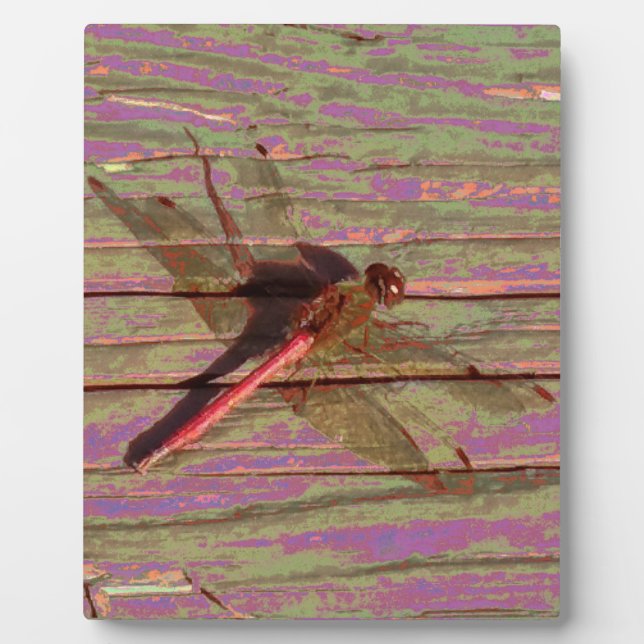 Dragonfly Colourful Plaque (Front)