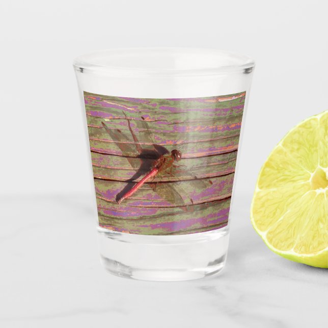 Dragonfly Colourful Shot Glass (Front)
