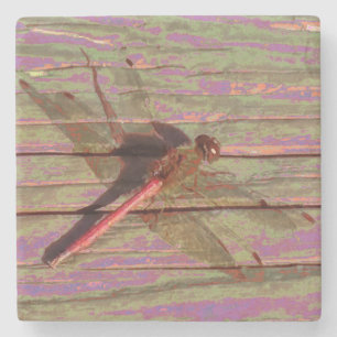 Dragonfly Colourful Stone Coaster